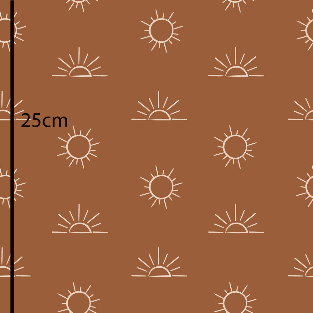 Desert Sun