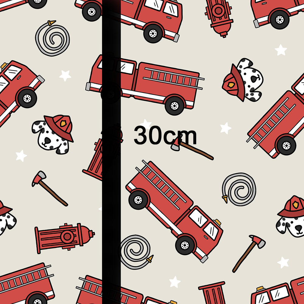 Fire Truck - PREORDER