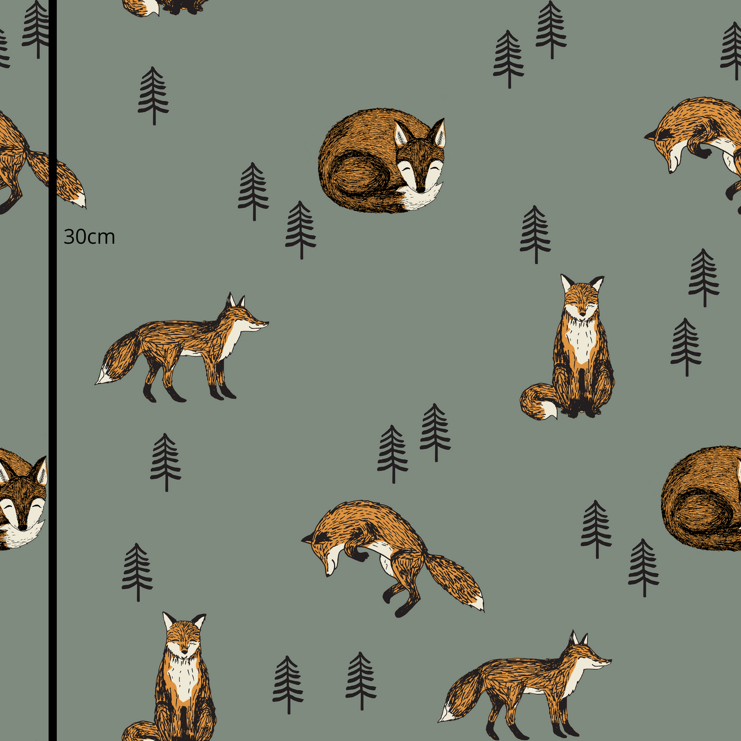 Red Fox